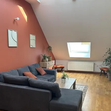 Les Combles De Apartment *