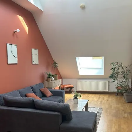 Apartment Les Combles De Roubaix